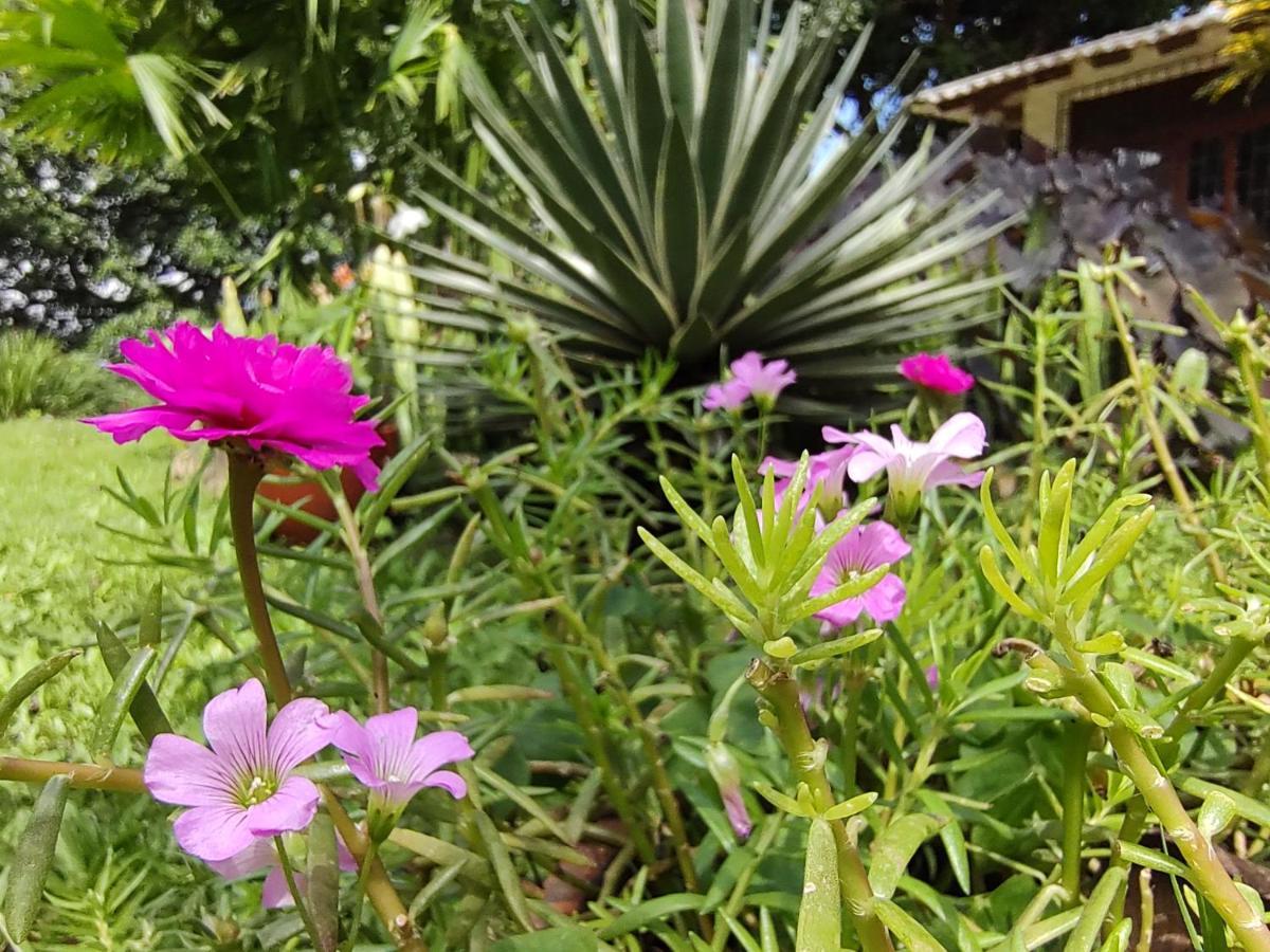 Finca Hostal Bolivar - Casa Quinta Минка Екстериор снимка